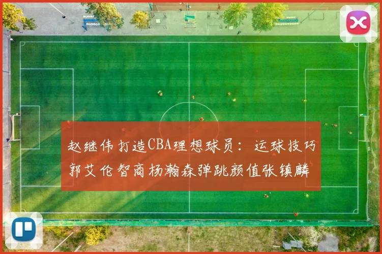 赵继伟打造CBA理想球员：运球技巧郭艾伦智商杨瀚森弹跳颜值张镇麟完美结合