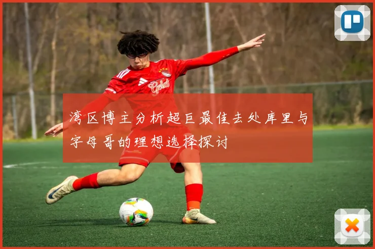 湾区博主分析超巨最佳去处库里与字母哥的理想选择探讨