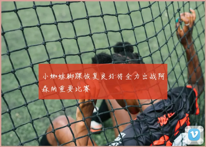 小蜘蛛脚踝恢复良好将全力出战阿森纳重要比赛