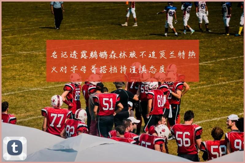 名记透露鹈鹕森林狼不追莫兰特热火对字母哥搭档持谨慎态度