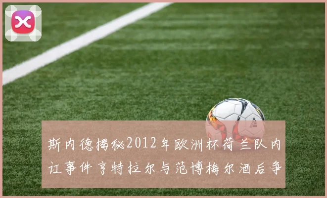 斯内德揭秘2012年欧洲杯荷兰队内讧事件亨特拉尔与范博梅尔酒后争执内幕